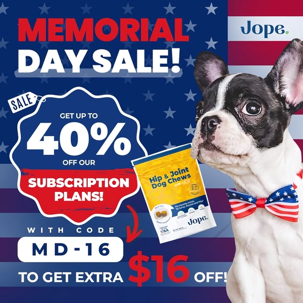 A square ad creative featuring a French Bulldog and a bag of Hip & Joint Dog Chews, highlighting a seasonal 40% off subscription promotion with an additional coupon code.