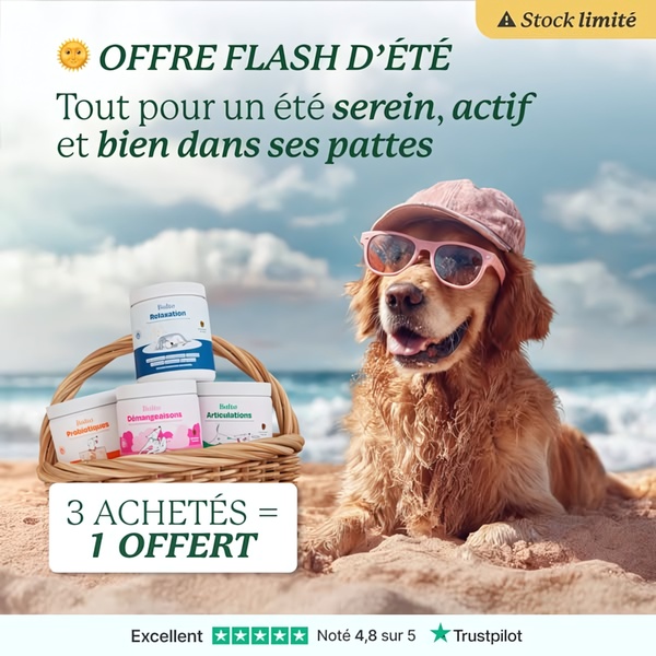 A 1:1 image featuring a dog wearing sunglasses on a beach next to a basket of supplement containers, promoting a 3-for-1 summer deal.