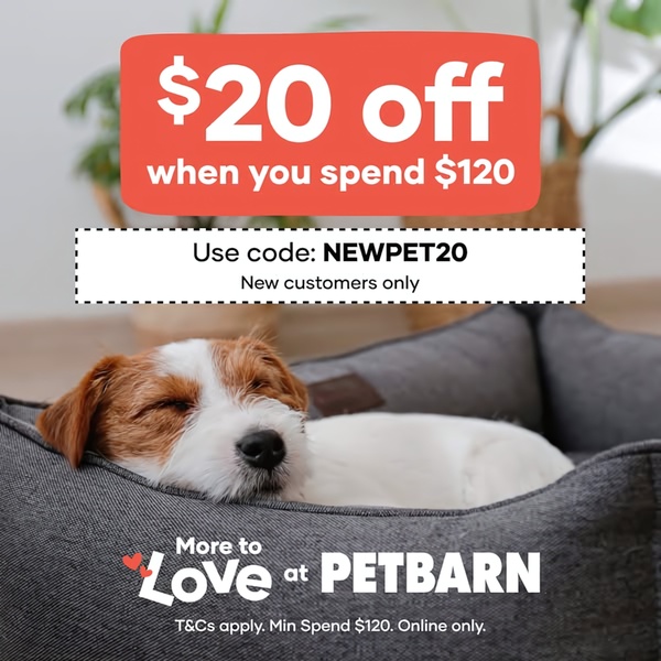Dog Bed Discount Offer