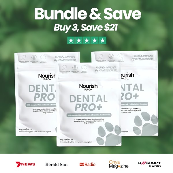 A square ad creative promoting a dental health product bundle with a clear value proposition and social proof.