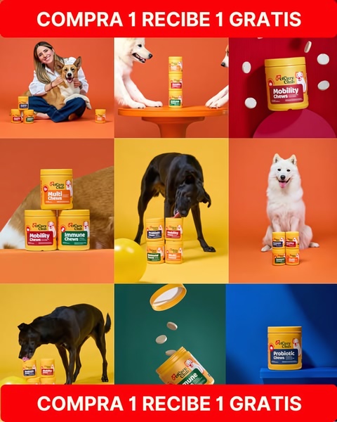 A high-energy, colorful grid-style ad for dog supplements using a recurring BOGO offer to drive conversion.