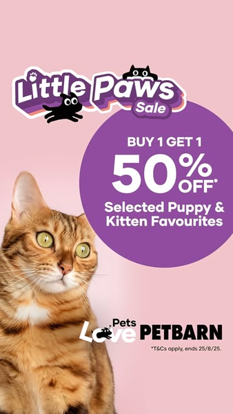 A vertical 9:16 ad layout featuring a high-quality cat image, a prominent purple promotional circle, and a clear Buy 1 Get 1 50% off headline.
