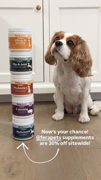 A vertical social media creative featuring a dog looking up at a stacked tower of supplement jars with a clear text overlay announcing a sitewide discount.