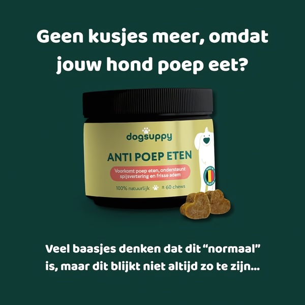 A square-format static ad for a dog supplement that targets the common, yet embarrassing, habit of coprophagia to drive immediate user interest.