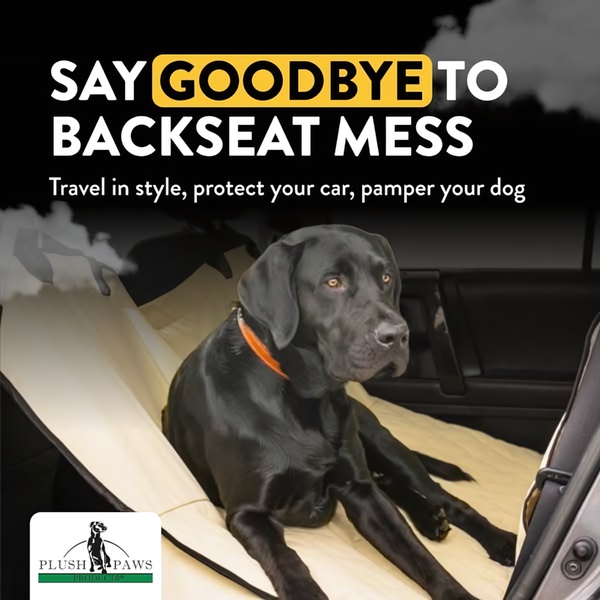 A clean, high-contrast ad featuring a black lab sitting on a tan protective car seat cover with a clear benefit-driven headline.