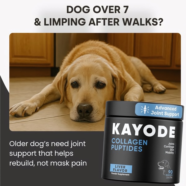 A problem-aware ad for a dog joint supplement that directly addresses the pain point of age-related mobility issues in pets.