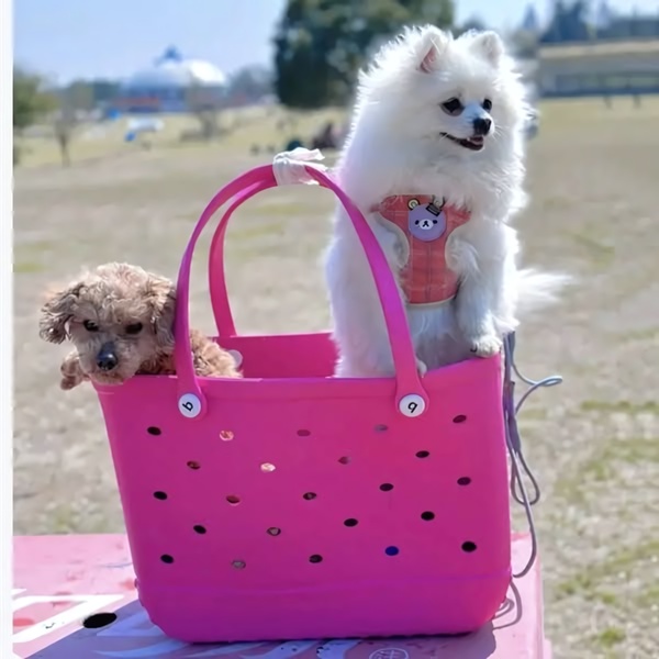 A bright, outdoor lifestyle shot featuring two dogs sitting comfortably inside a colorful, hole-patterned pet carrier tote.