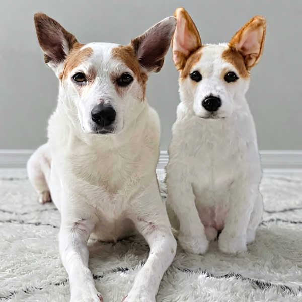 A high-fidelity side-by-side comparison showing a real dog next to its custom-made plush replica, highlighting product accuracy.