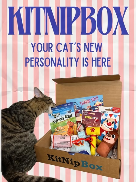 A 3:4 vertical ad showing a cat interacting with a delivered subscription box full of toys and treats against a pink-and-white candy-stripe backdrop.
