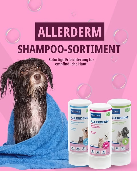 A high-conversion 4:5 ad creative showcasing a three-bottle pet shampoo set next to a freshly washed, happy dog.
