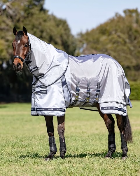 A high-clarity, professional photograph of a horse wearing a protective silver rug in a bright, outdoor field setting.