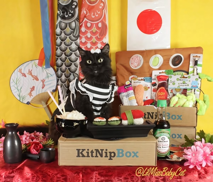 A high-quality 5:4 product hero shot featuring a cat in a traditional-style outfit sitting behind a branded pet subscription box surrounded by themed toys and props.
