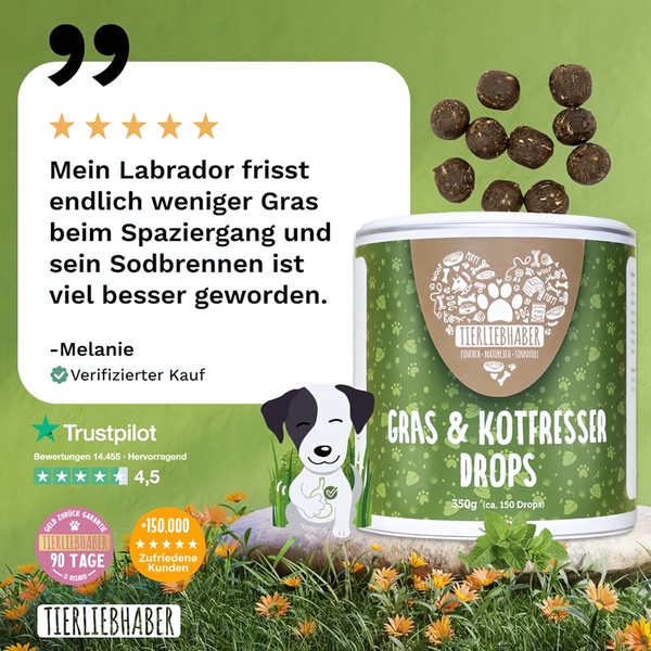 A square ad creative for dog supplement drops featuring a verified customer review, star ratings, and a clear product visualization.