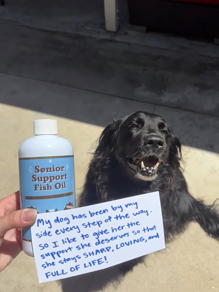 Handwritten Customer Testimonial
