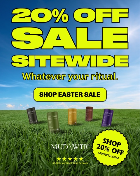 This ad creative uses a bright, aspirational outdoor setting to present a 20% off sitewide sale offer for multiple mushroom coffee blend products.