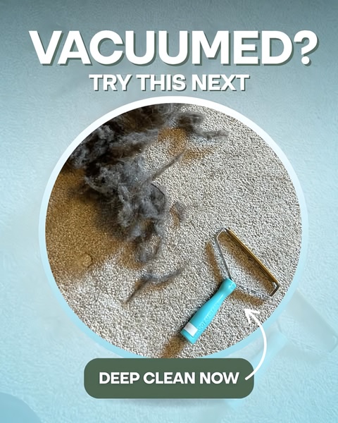 Vacuumed? Try This Next