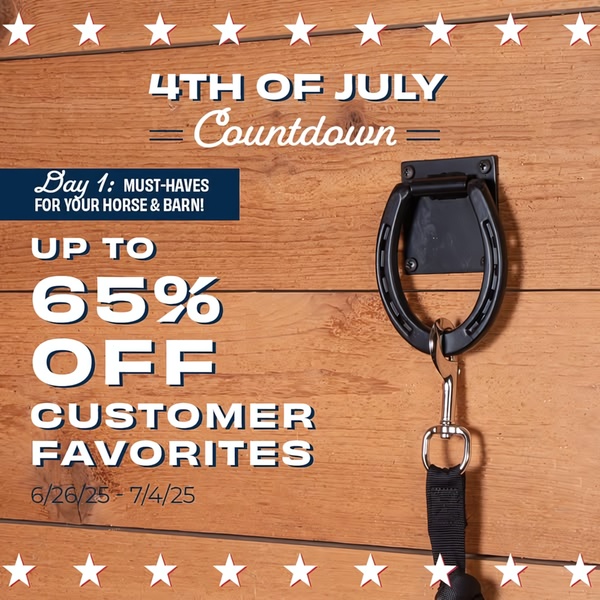 A square-ratio ad creative featuring a mounted horseshoe hook against a rustic wood background, announcing a holiday discount.