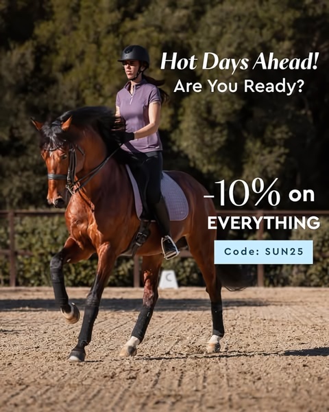 equestrian gear, horse riding equipment, riding apparel, equestrian supplies, horse tack, riding gear, equestrian clothing, sale promotion, lifestyle, energetic, brown, neutral, summer sale