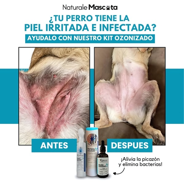 A split-screen comparison showing a dog's irritated skin before and after using an ozonized skincare treatment, effectively highlighting the product benefits.