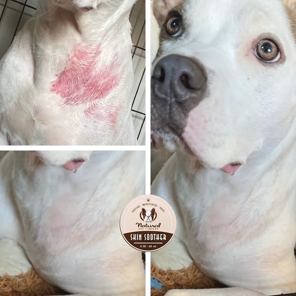 A split-screen comparison showcasing the healing effects of Skin Soother on a pet's irritated skin.