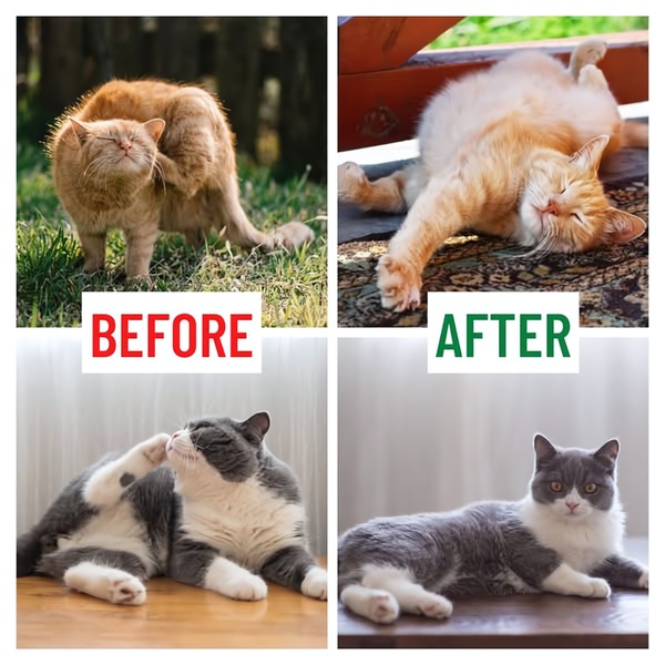 A split-screen comparison showing a pet scratching before product use versus a calm, relaxed pet after product application.