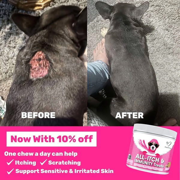 This 1:1 creative displays a side-by-side comparison of a dog's skin improvement after using supplement treats.