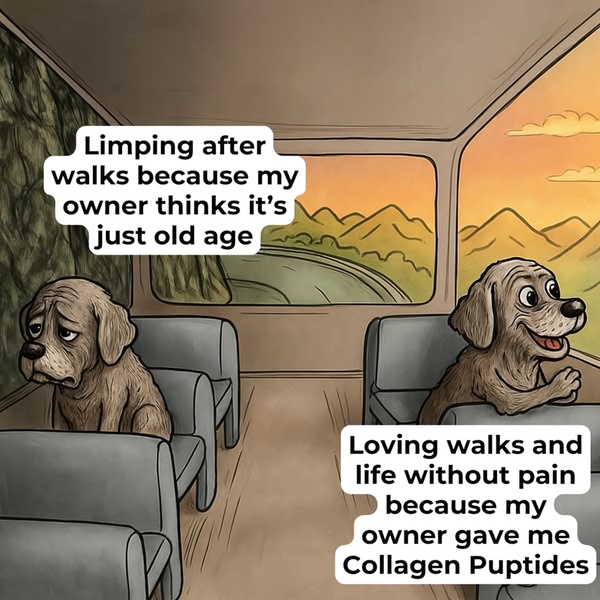 A split-screen illustration showing a sad, limping dog contrasted with a happy, mobile dog after using collagen supplements.