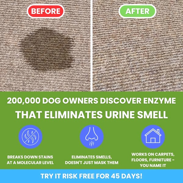 A high-contrast visual display showing a carpet stain being removed, paired with social proof and feature-focused benefit icons.
