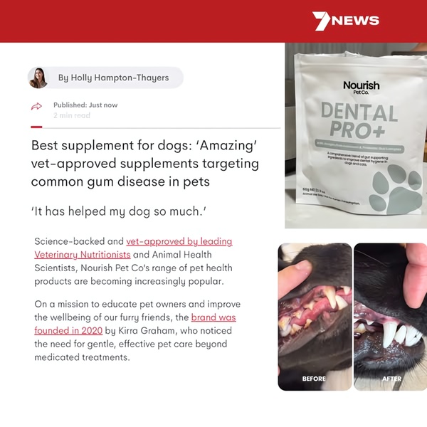 A news-style advertorial creative for a dog dental supplement, featuring a professional headline, verified testimonial, and clear before-and-after photographic evidence.