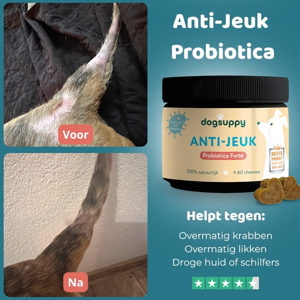 A square-format static ad showing clear visual evidence of skin recovery in a dog's tail after using an anti-itch probiotic supplement.