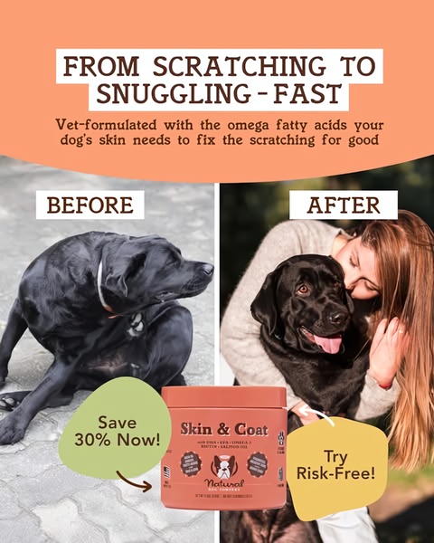 A split-screen comparison showing a dog scratching before using the product and a happy, healthy dog after using the supplement.