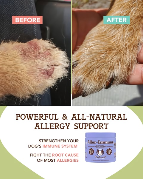 A split-screen comparison showing a dog's irritated paw before and healthy paw after using an immune supplement, reinforced by clear product messaging.