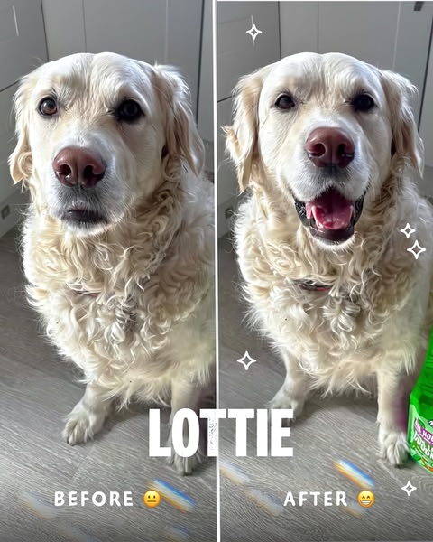 Lottie Before and After