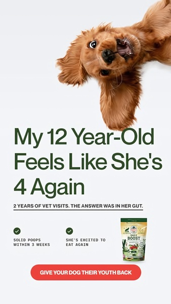 A direct-to-consumer pet supplement ad featuring a joyful dog, highlighting clear health improvements and results.
