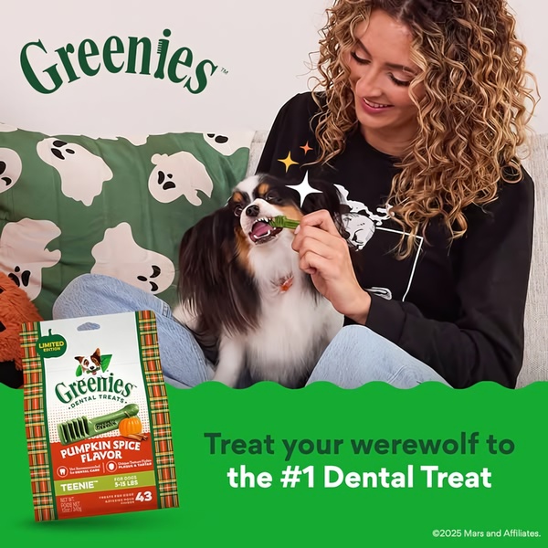 A square ad featuring a woman and her dog interacting with a pumpkin spice dental treat in a cozy home setting, leveraging holiday sentiment to drive engagement.