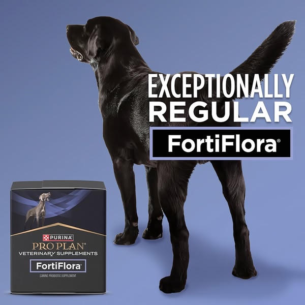 Exceptionally Regular Canine Probiotic