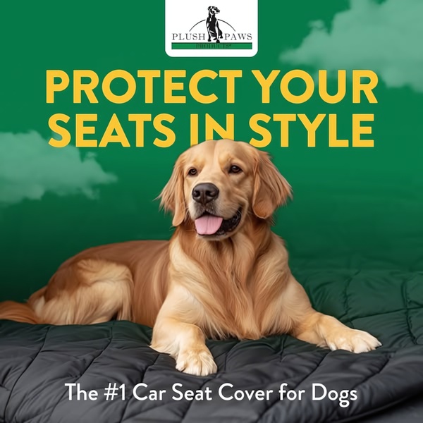 A clean, direct-response graphic featuring a golden retriever on a car seat cover with a bold headline and authoritative sub-headline.