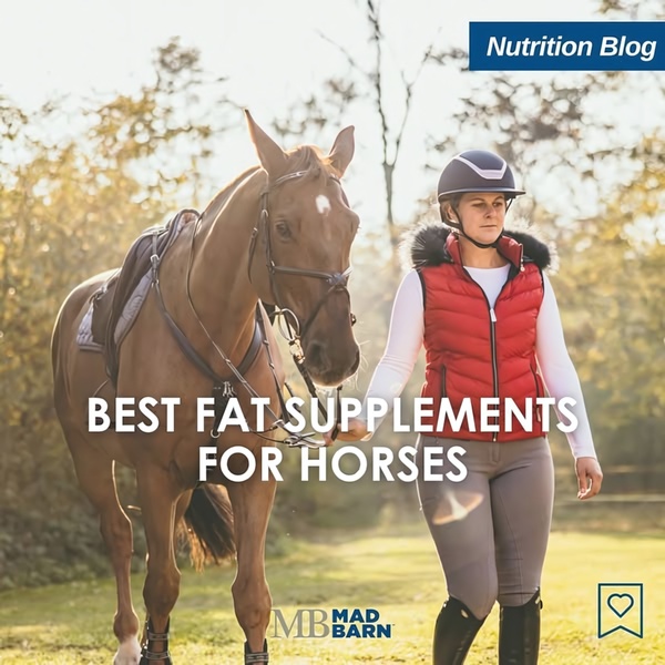 A clean, lifestyle-focused ad for a horse fat supplement that pairs a relatable equestrian image with a clear, authoritative headline.