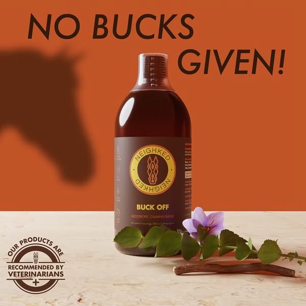 This 1:1 square advertisement features a bottle of horse calming supplement paired with a clean botanical aesthetic and bold, witty copy.
