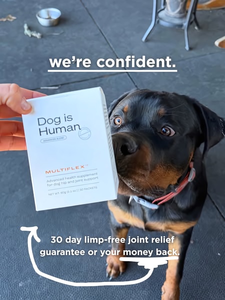 A close-up shot of a dog joint supplement package held next to a dog, featuring a clear confidence-based guarantee and a hand-drawn visual element.