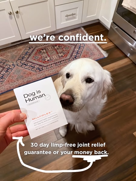 A static 3:4 ad creative featuring a direct product shot with a dog, using a bold, text-overlayed guarantee as the primary hook.