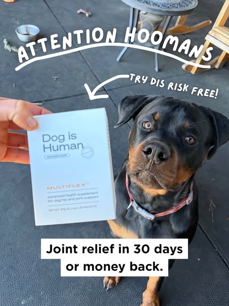 A close-up shot of a person holding a dog joint supplement box next to a Rottweiler, featuring a risk-free trial offer and a bold 30-day result claim.