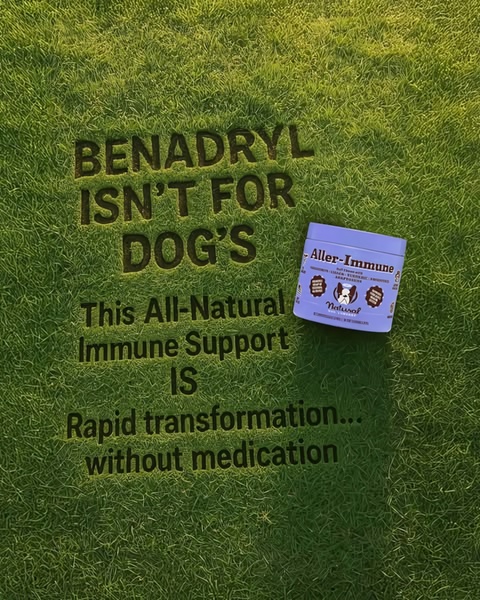 A minimalist ad creative featuring text carved into green grass to highlight an all-natural alternative to traditional medication for dogs.