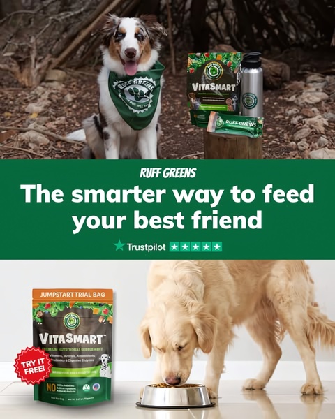 A 4:5 vertical split-screen ad creative displaying a dog with branding above a customer dog eating the product, using social proof icons.
