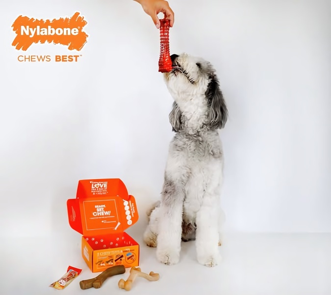 A studio-shot, high-contrast creative featuring a dog interacting with a chew toy alongside its retail packaging box.