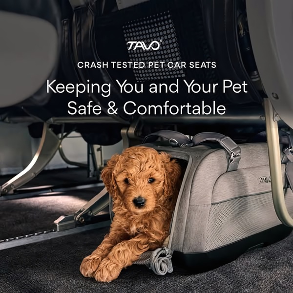 A clean, eye-level product shot showing a puppy sitting comfortably inside a crash-tested pet car seat under an airplane seat.