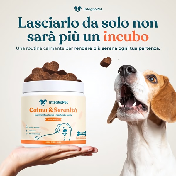 This static image features a dog treat supplement being presented to a pet owner, using a clear benefit-driven headline to address separation anxiety.