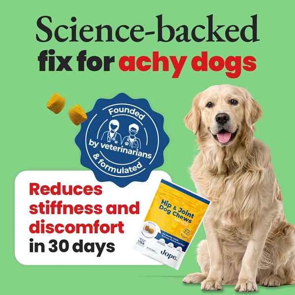 A square ad creative featuring a golden retriever next to a pack of hip and joint dog chews, emphasizing veterinarian formulation and clinical benefits.