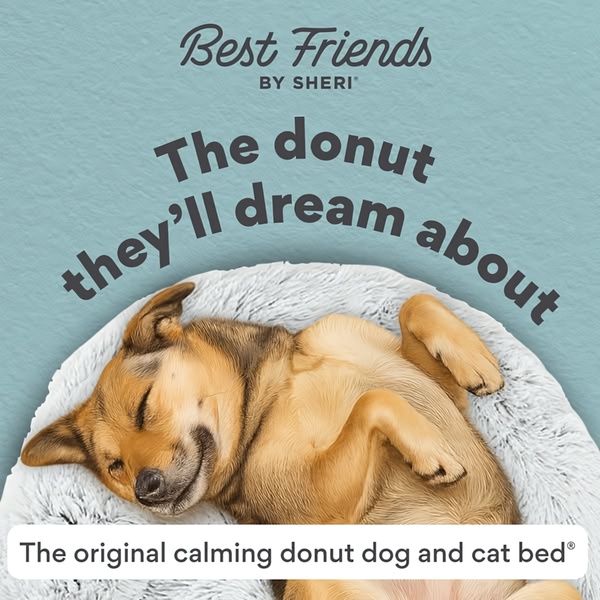 A clean, square-format ad showcasing a dog sleeping comfortably in a plush donut bed with a clear, value-driven headline.