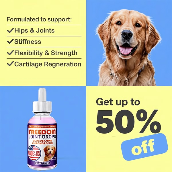 A 1:1 split-screen creative featuring a happy golden retriever and a clear product shot with a bold discount headline.